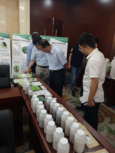 天敵昆蟲防控技術(shù)研發(fā)項(xiàng)目通過中期檢查，網(wǎng)絡(luò)技術(shù)賦能綠色農(nóng)業(yè)發(fā)展